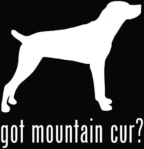 Есть ли горная собака? Виниловые наклейки на окна Собака гитара длина 14 5 см |