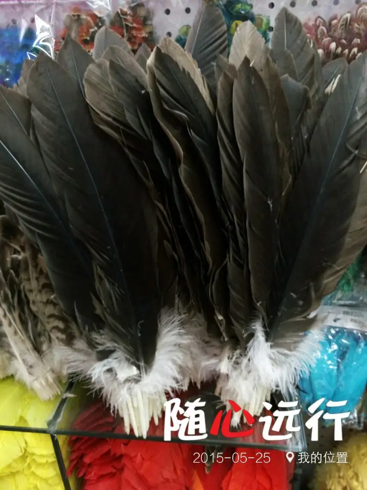 

Wholesale perfect 20pcs high quality natural Pheasant feathers 16-20inch/40-50cm Decorative diy
