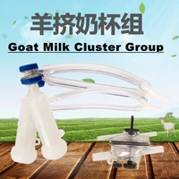 sheep milk cluster group with transparent plastic milk teat cup