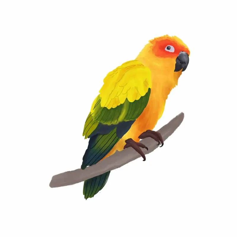 YOJA 19.5X22.8CM Art Mural Wall Sticker Tropical Birds And Branches Toilet Decal Bathrooom Home Decor T5-0678 | Дом и сад