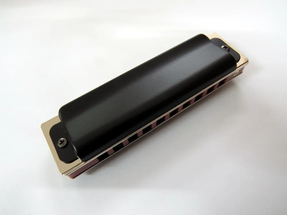 EASTTOP organ T008K Blues harp key of Paddy C blues профессиональная Губная гармошка с 10 отверстиями