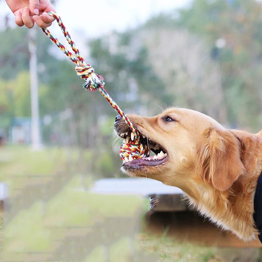 Durable Cotton Rope Dog Toys Training Molar Teeth Bite Resistant Interactive Chew Toy Honden Knuffel Pet Supplies 50DC0038 | Дом и сад