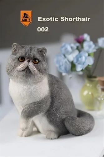 002 MR. Z серия «животные» № 8 1/6 экзотические короткошерстной кошки персидская кошка Гараж Комплект для детей возрастом от 1" фигурку сцена DIY украшения автомобиля - Цвет: 002