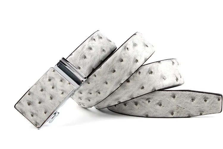 Автоматический страусиный ремень LGF13212 с пряжкой из натуральной воловьей кожи