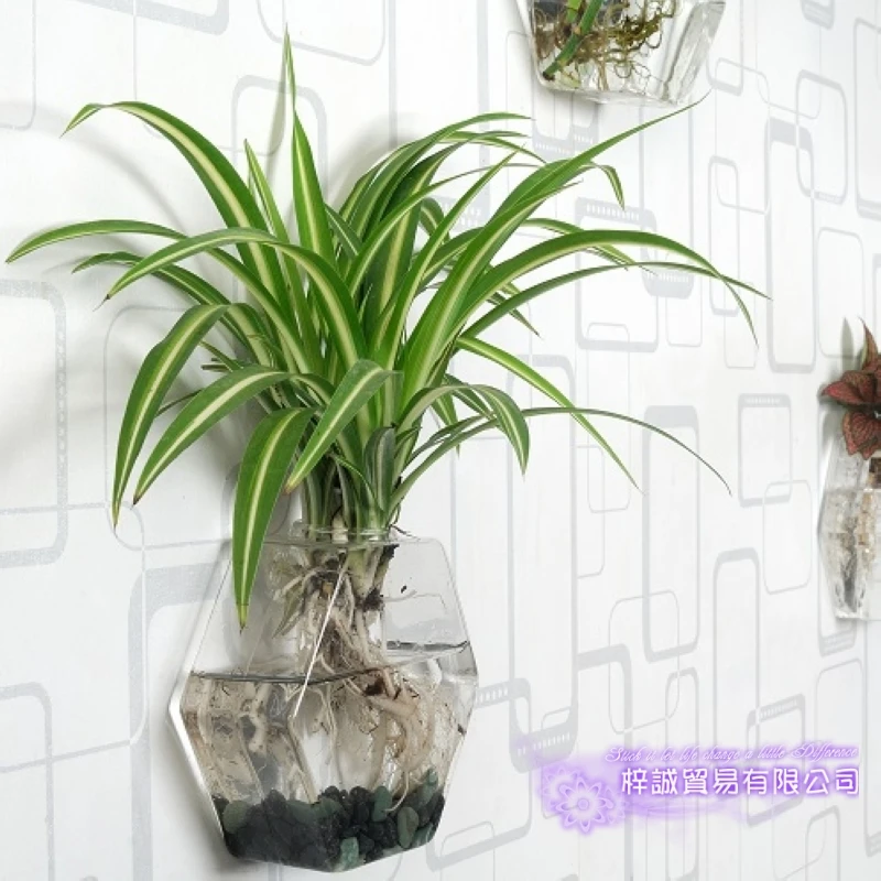 Шестиугольная ваза Рождество шестигранника настенный Террариум Стекло для