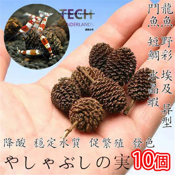 

20 pcs Magical natural fruit anti-bacterial reduce PH regulating water quality for aquarium treatment fish shrimp free shipping