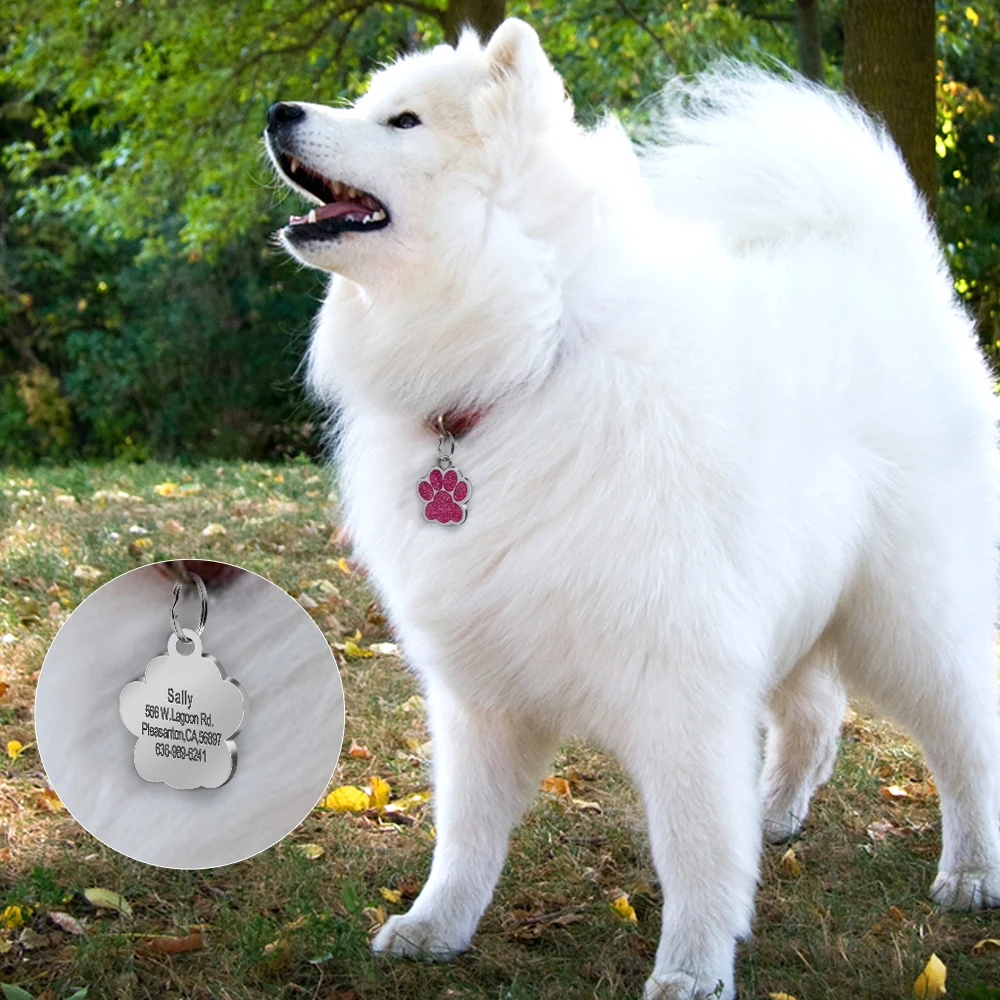 Идентификационные бирки для домашних животных на заказ бирка большого размера с