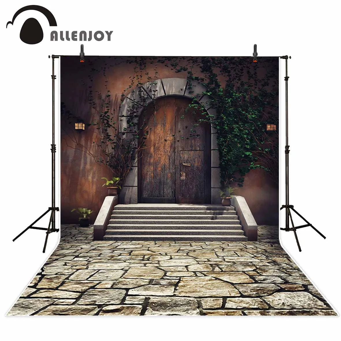 

Виниловый фон для фотосъемки Allenjoy, винтажная дверь, растения, лестница, арка, Фотофон, оригинальный дизайн для фотостудии