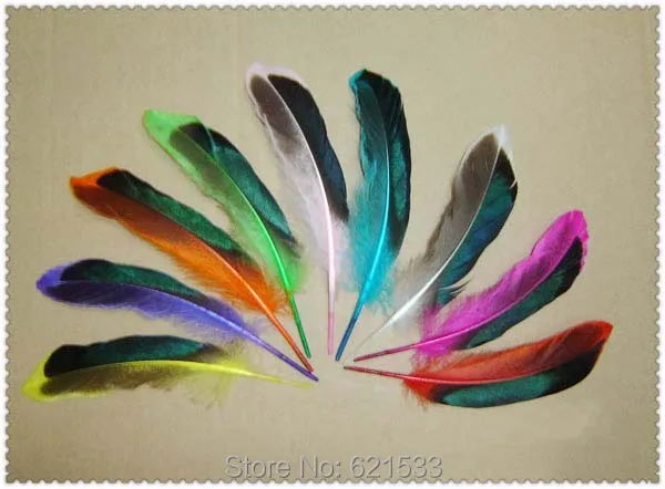 

200Pcs/Lot 10-15CM Shinny Dyed Iridescent Mallard Duck Wing Feathers Quill Duck Feathers 9Colours available