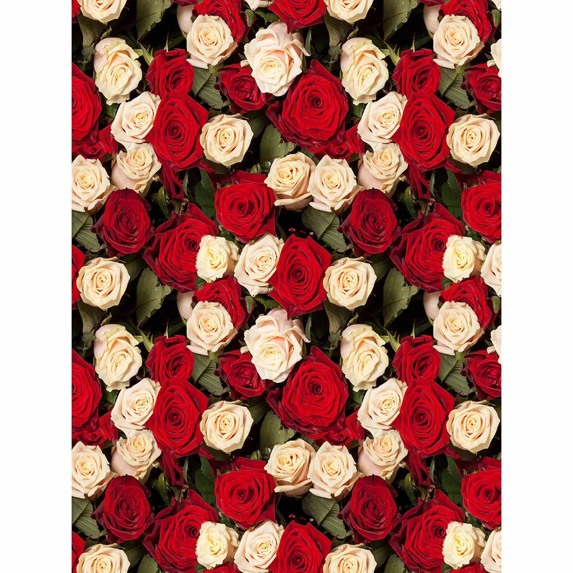 Студийный фон Allenjoy с изображением желтой красной розы роскошный романтический