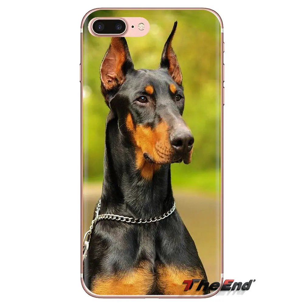 Прозрачные мягкие чехлы для iPod Touch Apple iPhone 4 4S 5 5S SE 5C 6 6S 7 8 X XR XS Plus MAX Pinscher собака