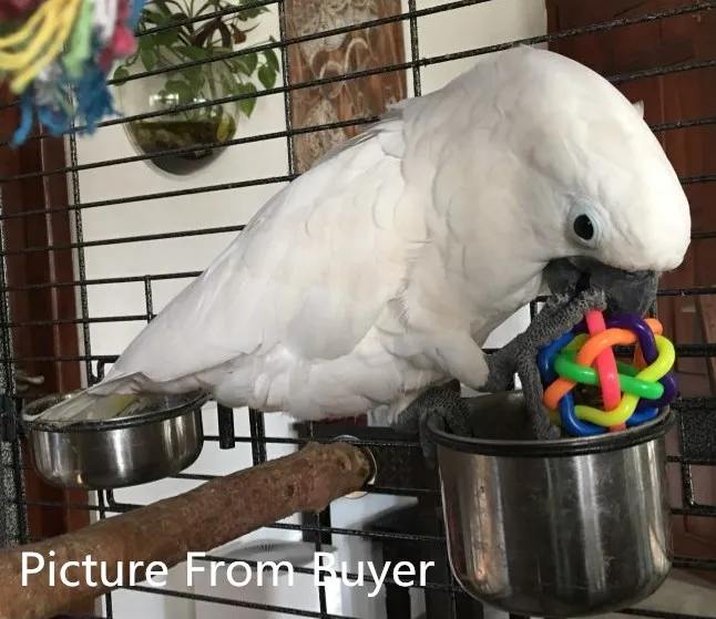 2 шт./лот цветная игрушка попугай с колокольчиком клетка для птиц игрушки мячи