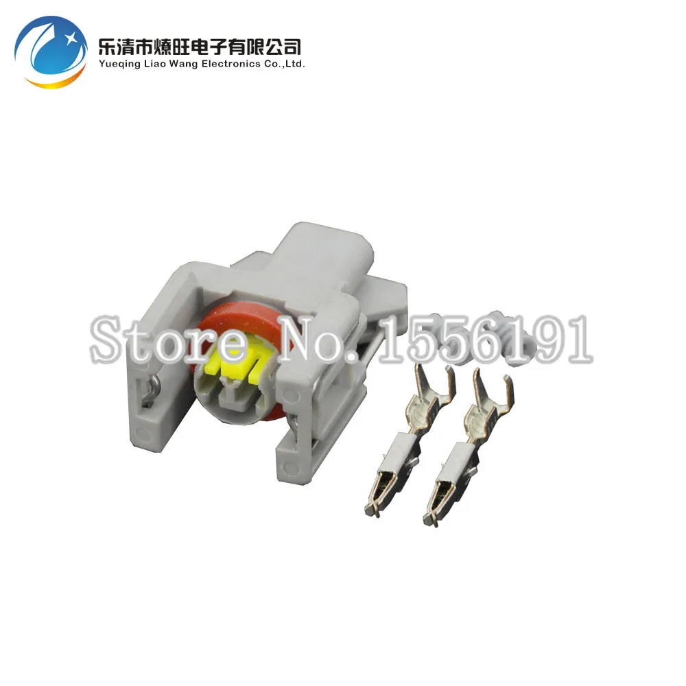 10 комплектов Delphi 2Pin автоинжектор топлива водонепроницаемый разъем распылитель