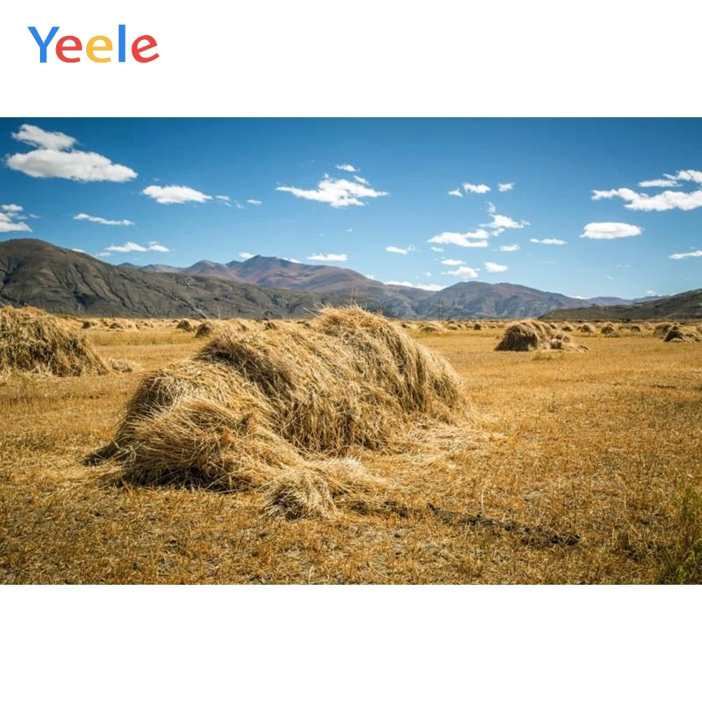 

Yeele Photography Backgrounds Blue Sky White Cloud Hay Haystack Nature Customized Photographic Backdrops For Photo Studio