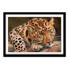 Алмазная вышивка леопард полная квадратная Алмазная картина вышивка крестиком Алмазная картина животные Стразы Декор