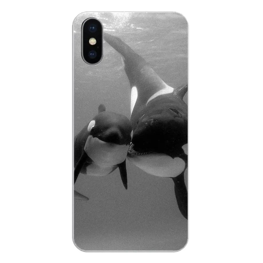 Силиконовый чехол для телефона Killer Whale Orca случайное вдохновение Apple iPhone 4 4S 5 5S 5C SE 6