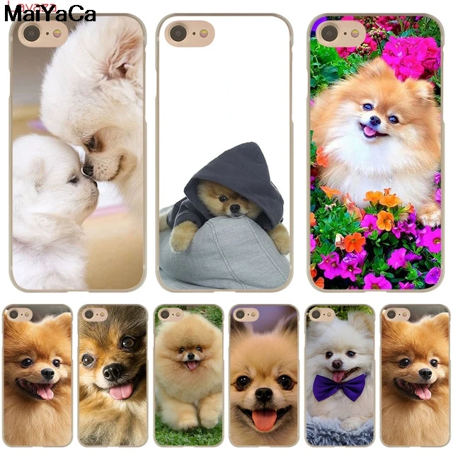 MaiYaCa Pomeranian dogs для iPhone 4S SE 5C 5S 5 6 6S 7 8 Plus X XR XS MAX чехлы телефонов прозрачные мягкие из