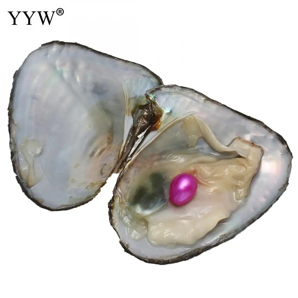 10 ./ 7-8  10    Oyster    Love Wish Oyster      Oyster