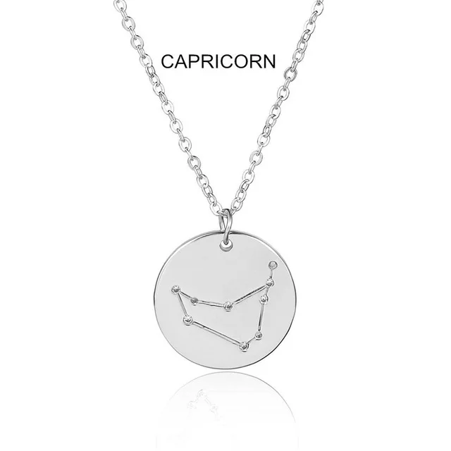 Ingemark 12 Zodiac Constellations Pendant Choker Necklace Birthday Gift Personalized Crystal Leo Libra Women Long Chain Necklace - Окраска металла: Capricorn Silver