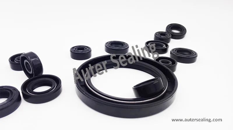 TC simmer 16x30x1 0/16x30x 8/16x30x 7/16x30x 5/17x30x1 0/17x30x 8/17x30x 7/18x30x1 0/18x30x 8/18x30x 7/20x30x1 0/20x30x 7/22x30x 7/22x30x5|tc| |