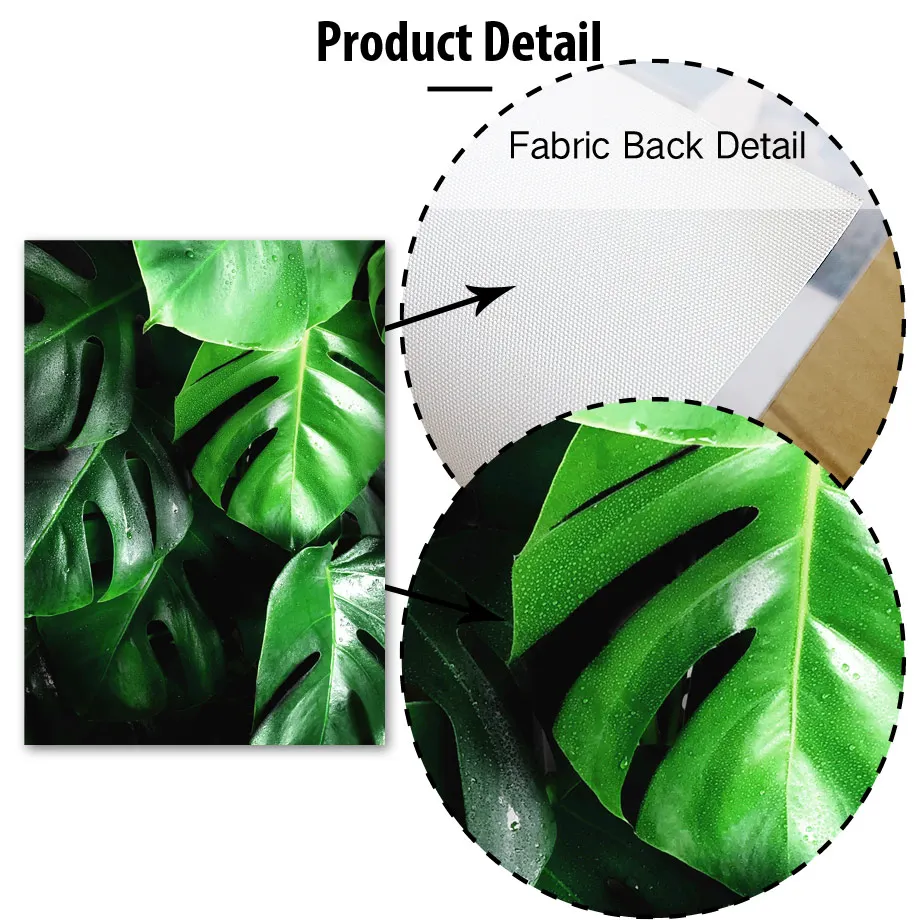 Тропическое зеленое растение монстера большие листья настенная Картина на