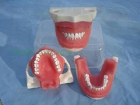 oral practice examination extraction model of dental surgery teaching practice model