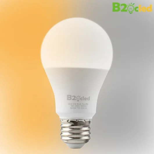 Dimmable Светодиодный светильник с регулируемой яркостью, 2 цвета, Светодиодная лампа E27, 9 Вт, 110 В, 220 В переменного тока, 90-265 в, 850лм, теплый белый светильник, шаровая лампа, лампада, ампула, Bombilla - Испускаемый цвет: Dimmable