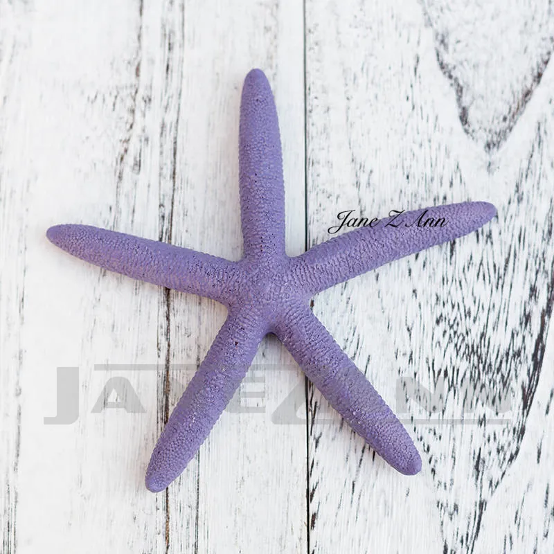 Jane Z Ann Newborn Photography Creative posing props Ocean theme Studios photo shoot accessories starfish ship fishes props