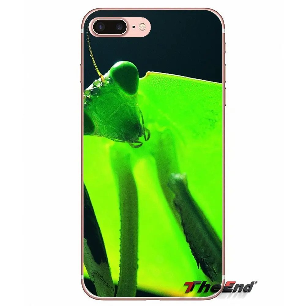 Для iPhone X 4 4S 5 5S 5C SE 6 6S 7 8 Plus Samsung Galaxy J1 J3 J5 J7 A3 A5 2016 2017 макро мантис милый ТПУ