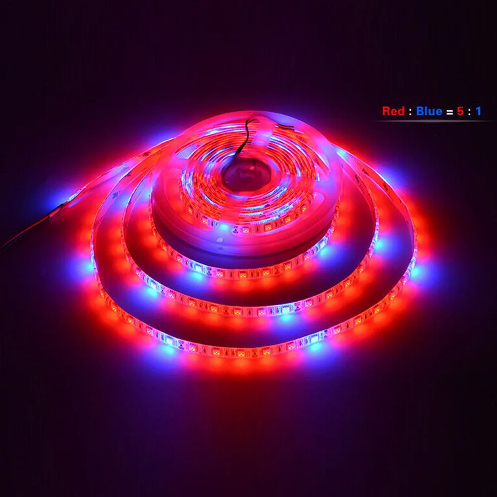 5 метров 5050Led свет роста растений бар 60 ламп/м 3:1 4 красный 1 синий 5:1 завод