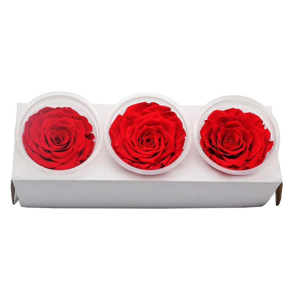 1 коробка Eternal Flores консерванты натуральные сухоцветы консервированные цветы бесморская Роза 8 см подарок на день Святого Валентина день рождения