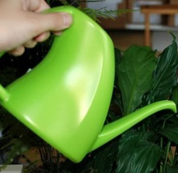 Чайник для полива цветов суккуленты специальный цветочный полив с длинной