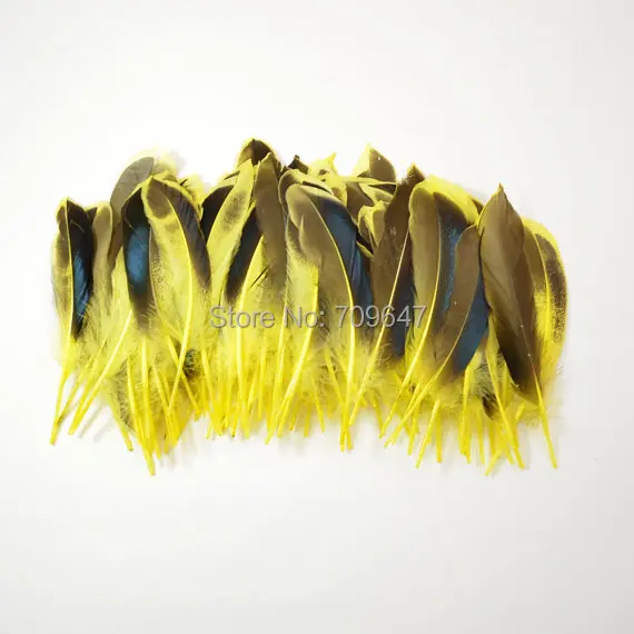 

Feather top!100pcs/Lot 8-12cm Yellow Mallard Duck Wing Feathers, Mallard Feathers, Iridescent blue Wings