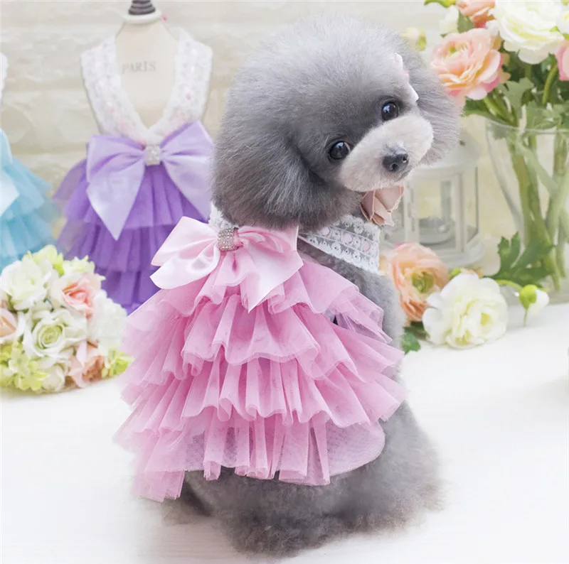 Высокое качество Прохладный собака шелковые кружева платье маленькая сладкая