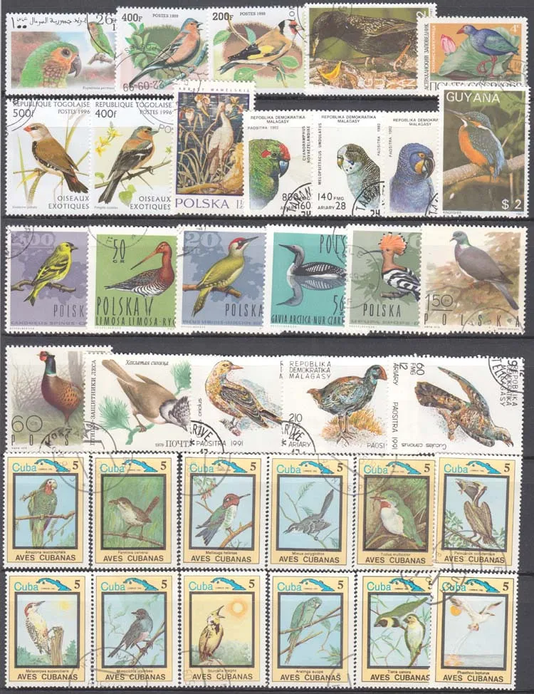 Новые 50 шт./лот птичий попугай Орел все отличаются из многих стран не повторяют