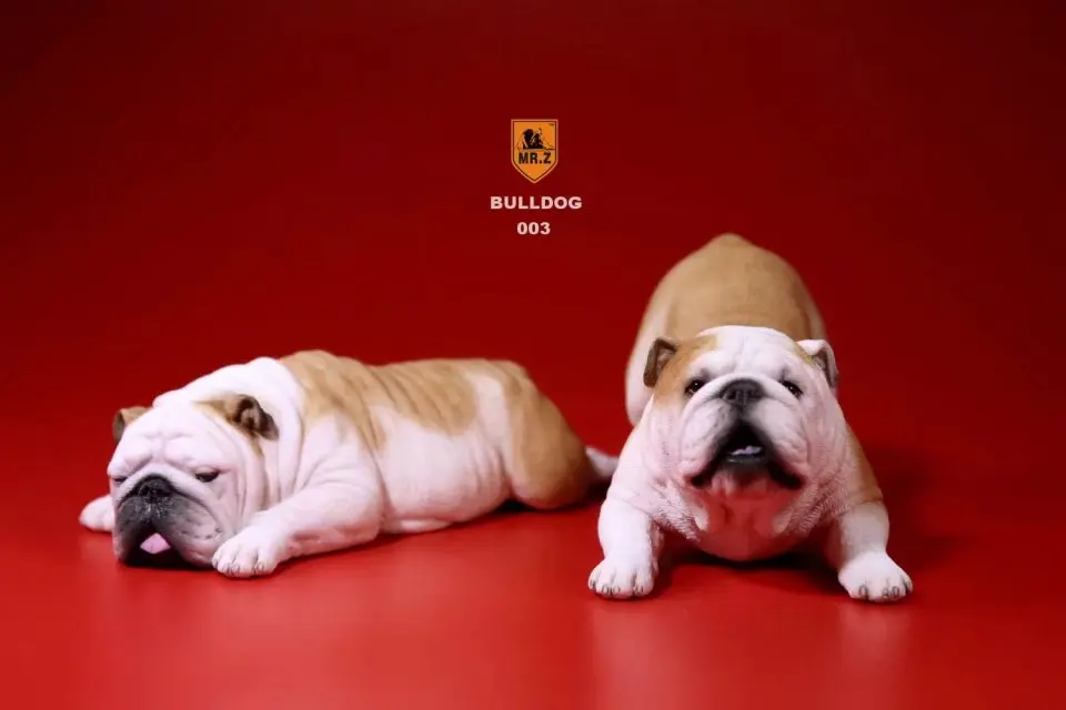 Mnotht 1Pair 1/6 British Bulldog Sculpt Model Naughty &amp Cute Dog Carving For 12in Action Figure Scene l20 | Игрушки и хобби