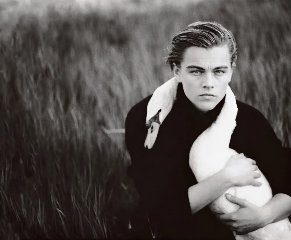 Домашний декор Леонардо ДиКаприо звезда актер-Шелковый художественный плакат