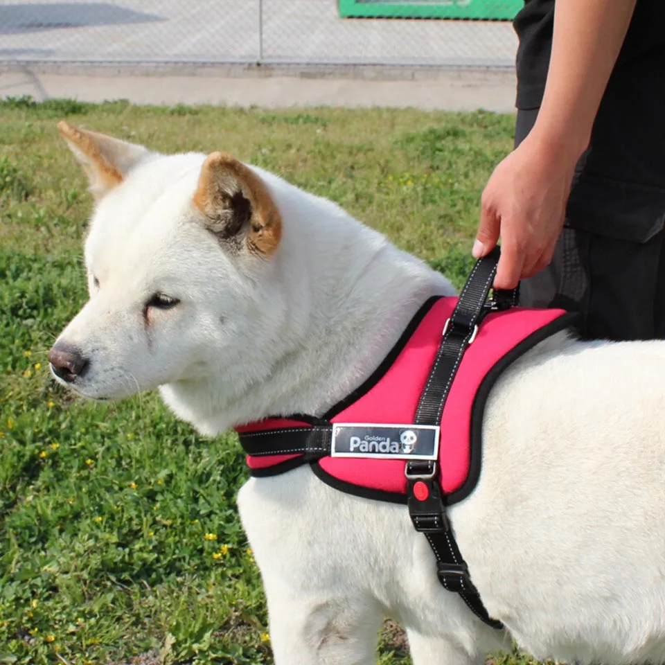 Ortilerri Pet Supplies Chest Strap Cotton Red Dog Harness Black Arnes Perro Golden Panda 5 Sizes Correas Para Perros 2016 | Дом и сад