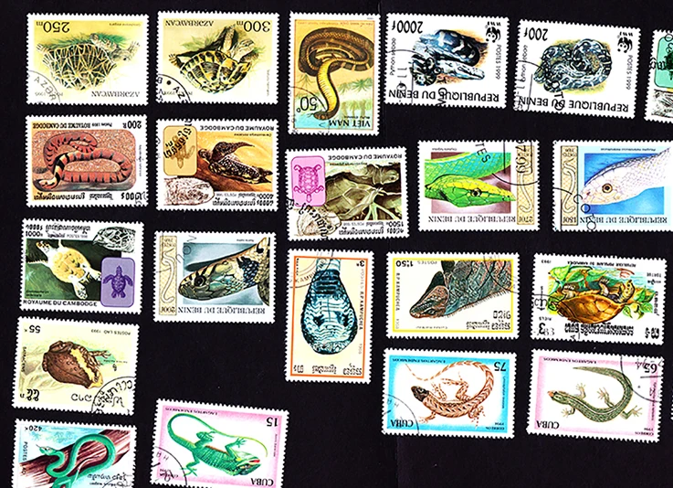 20 шт. почтовые штампы для амфибий змеи черепахи ящерицы|Штампики| |