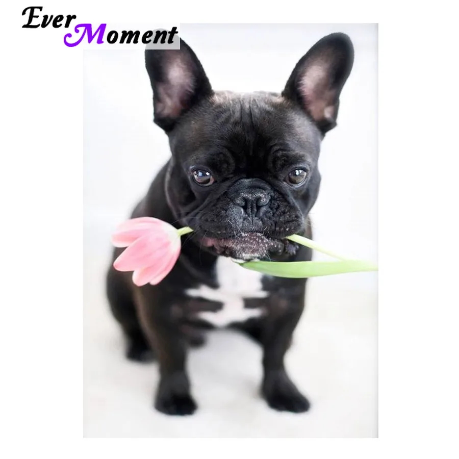 

Алмазная живопись «сделай сам», вышивка крестиком, цветок, собака, вышивка, рукоделие, квадратный рисунок, искусство, вышивка, мозаика ASF643