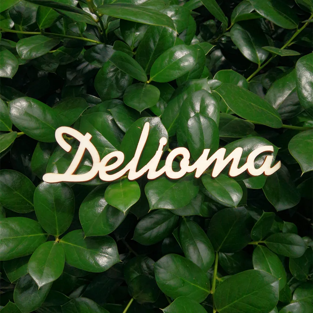 10 шт. персонализированные деревянные имена гостевых мест под заказ для свадебных