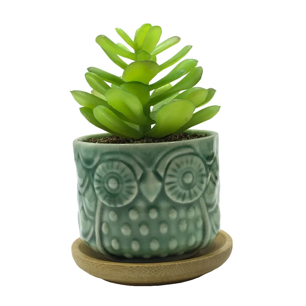 6 PCS Set Cute Cartoon Animal Owl Shaped Ceramic Succulent Cactus Flower Plant Pots with Bamboo Tray for Home Garden Decoration | Дом и сад
