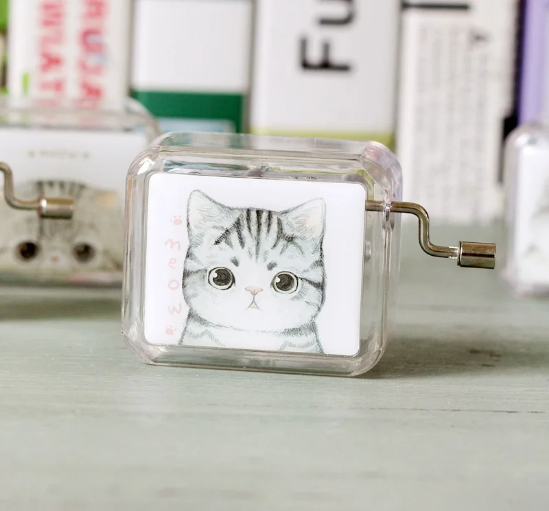 Музыкальная шкатулка Totoro Cat 4 шт. прозрачная акриловая музыкальная Подарочная