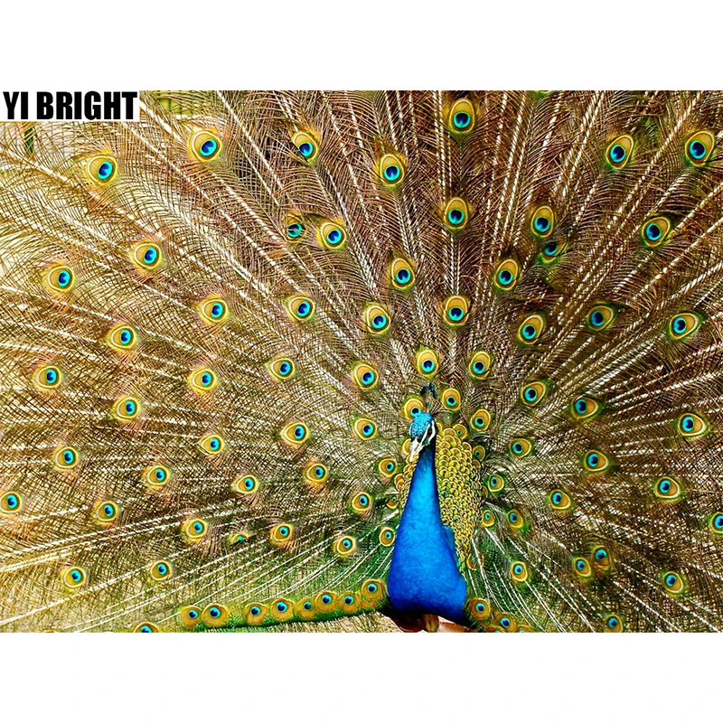 Алмазная 5D картина с полными квадратными/круглыми стразами сделай сам вышивка