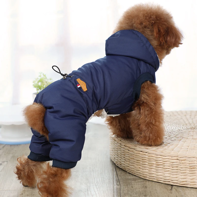 Новая одежда для собак маленькая собака четырехногий Pet толстый хлопок Tedibi Xiong Bomei