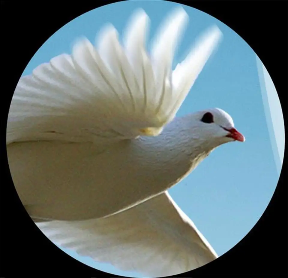 Пользовательские 3d фото обои Гостиная Фреска Окно балкон Рим пейзаж живопись ТВ