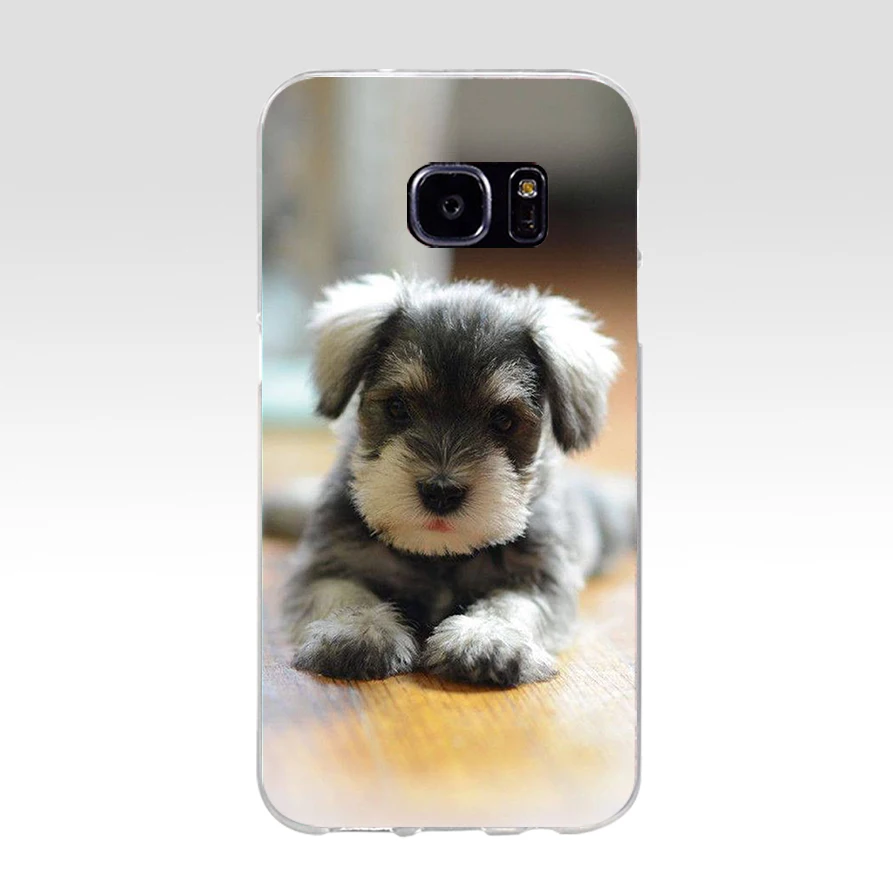 71H миниатюрный Schnauzer Мягкий ТПУ силиконовый чехол для samsung Galaxy s6 s7 edge s8 s9 plus |