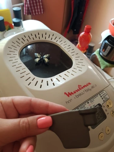 1 шт. лезвие для хлебопечки/лопатки/для Kenwood BM900/ Moulinex SS 185951/Delfa DB 104708/Delonghi BDM1500|mixing