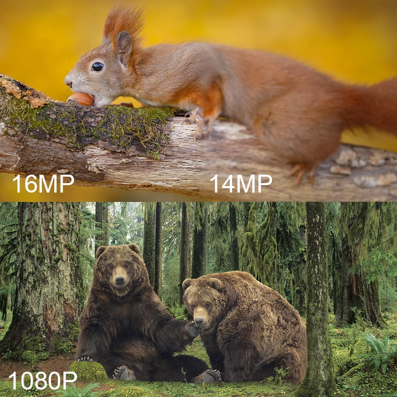 HT-001B, 1080 P, кормушка для оленей, Охотничья камера, 30 шт., Инфракрасные светодиоды, для охоты, фото, Ловушки для дикой природы, камера ночного видения