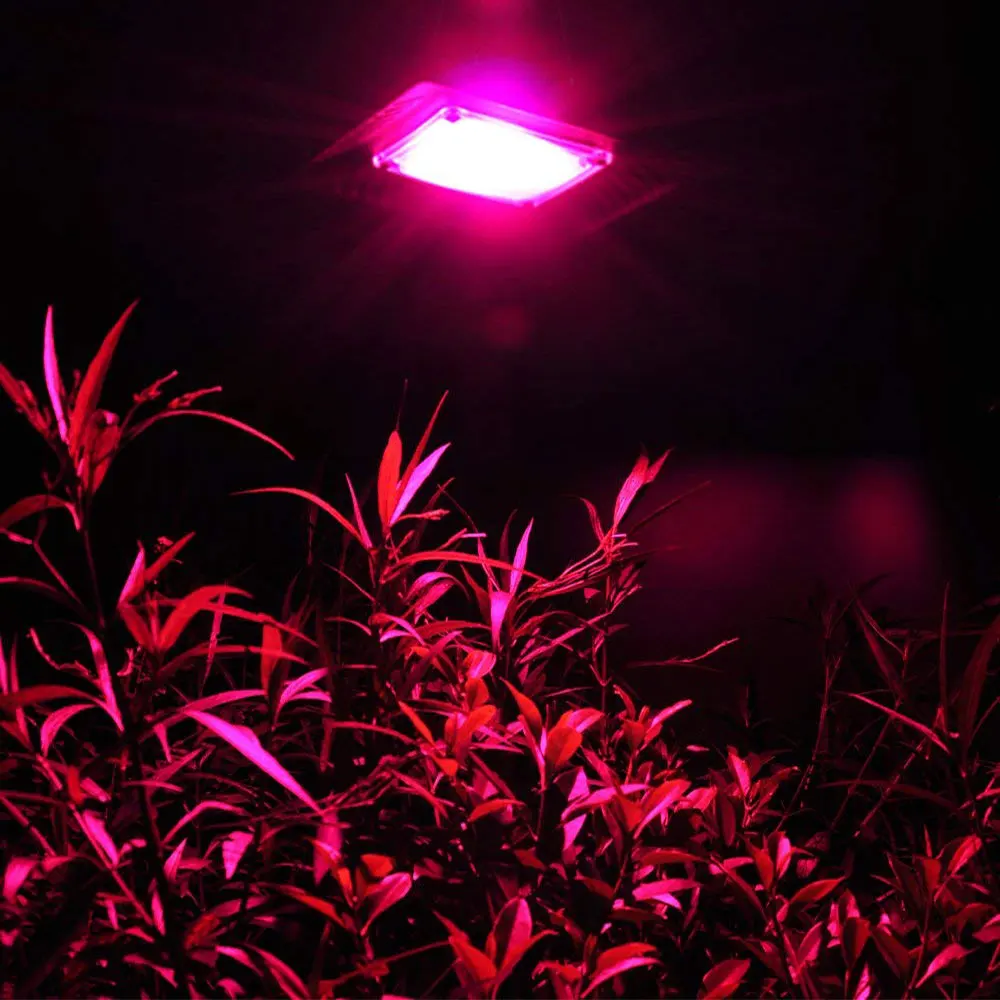 

Full Spectrum 20W 30W 50W Plants Growing Bulbs COB LED Lamp AC 220V 110V Smart IC Chip On Board for DIY Plant Grow Flood Lights